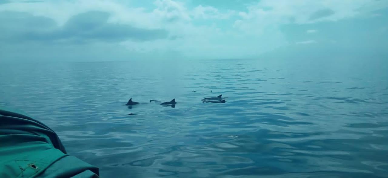 Wasini Raha Snorkeling And Diving Apartment Екстериор снимка